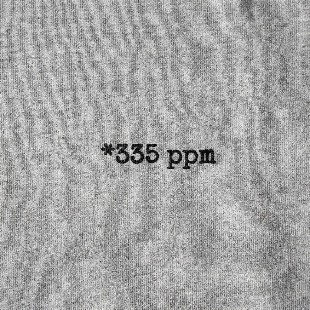 CO₂ ppm Hoodie mit personalisiertem Print