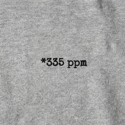 CO₂ ppm Hoodie mit personalisiertem Print